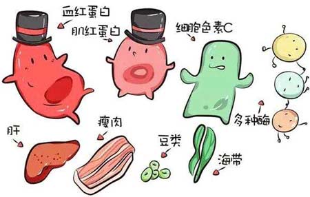 绿巨人污APP厂家分析元素之间的协同作用