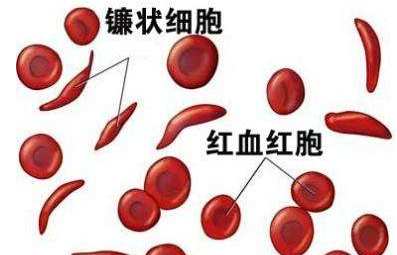 人体绿巨人污小视频厂家介绍检测微量元素的仪器 人体绿巨人污小视频厂家介绍检测微量元素的仪器