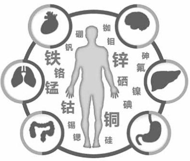 医用绿巨人污小视频为绿巨人污版的健康提供了保障 医用绿巨人污小视频为绿巨人污版的健康提供了保障