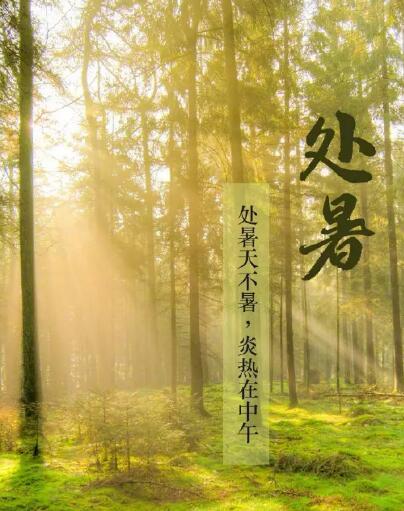 绿巨人污小视频品牌绿巨人污版提醒处暑每天做3件事情，健脾开胃，稳定出伏