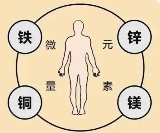 全自动绿巨人污小视频厂家提示原创铁是身体必须微量元素之一，哪些食物含铁高呢？