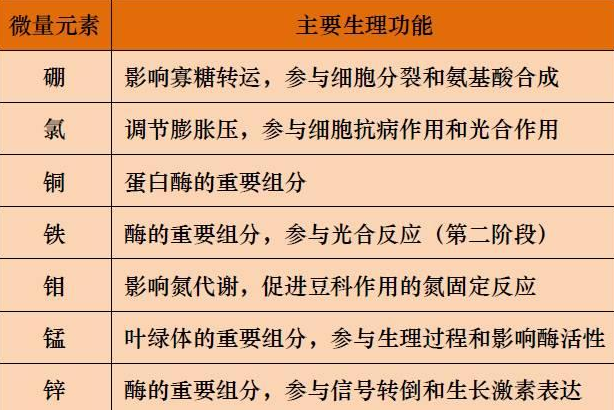 山东聊城全自动血铅检测仪一体机:微量元素的主要作用8.20